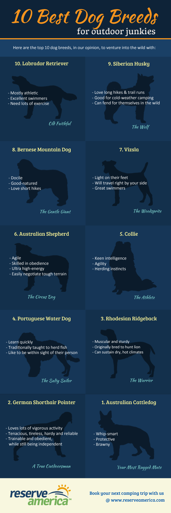 10 Best Dog Breeds for Outdoor Junkies (Infographic)