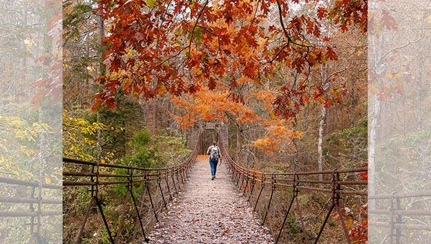 2021 America’s State Parks Photo Contest Winners