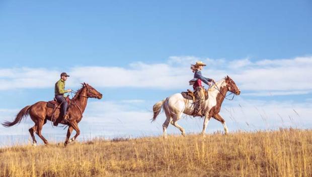 Horseback Riding