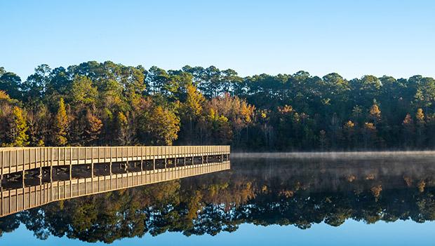 Laura S. Walker State Park