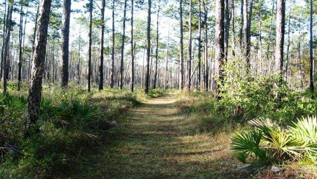 Blackwater River State Park Florida