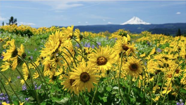 2019 America’s State Parks Photo Contest Winners