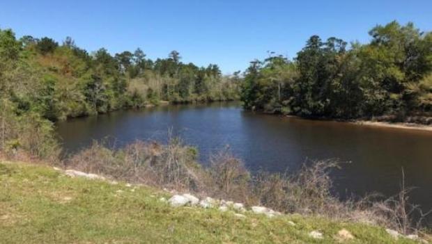 McLeod Park Campground