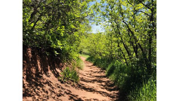 camping hiking deer creek canyon park