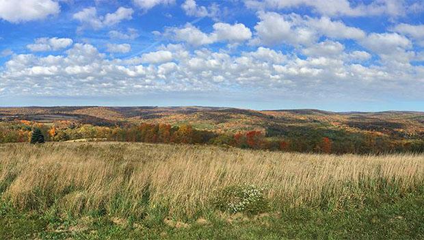 laurel hill state park