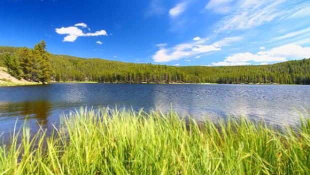 Bighorn Scenic Byway