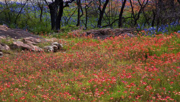 Inks Lake State Park