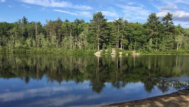 Harold Parker State Forest