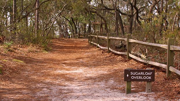 Carolina Beach State Park