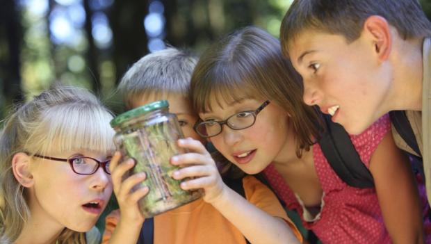 Back to School: Educational Camping Activities for Kids