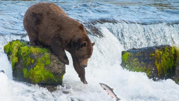 Alaska best waterfall hikes