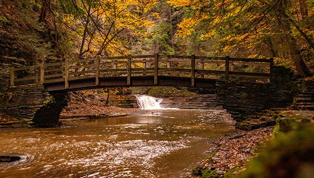 New York State Parks You Need to Visit