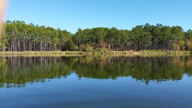 Bear Lake Campground