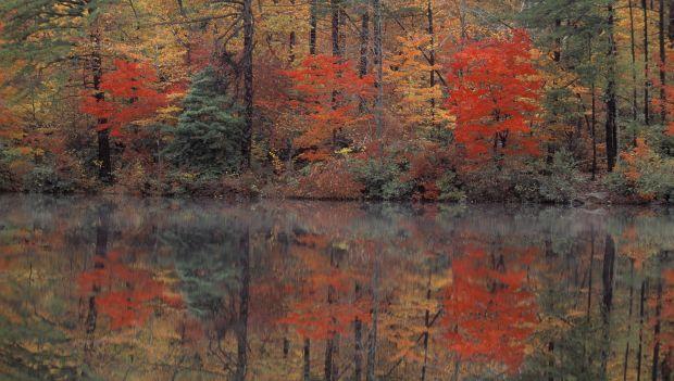 Hanging Rock State Park North Carolina