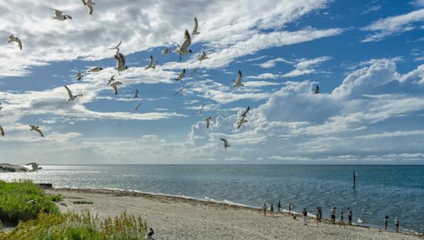 Hammocks Beach State Park