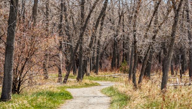 Cherry Creek State Park Colorado