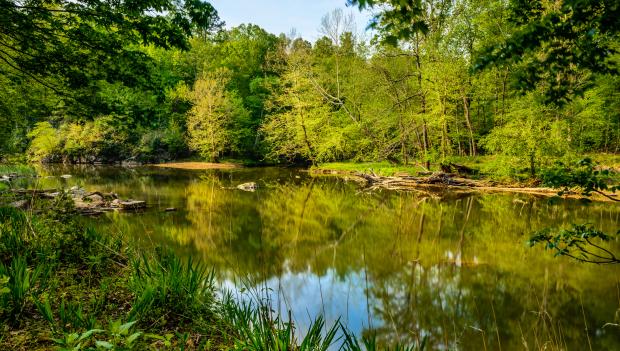 Eno River campsite