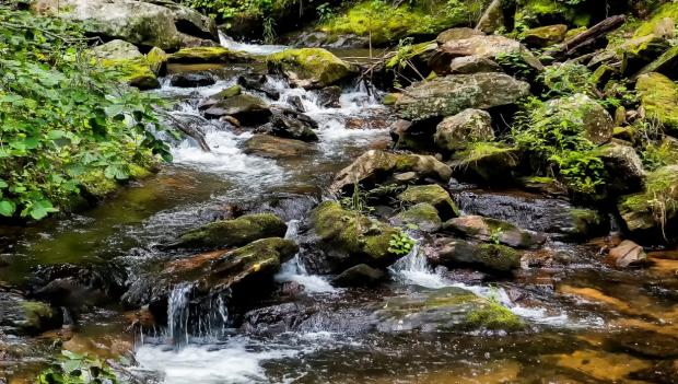 Georgia wildflower hikes