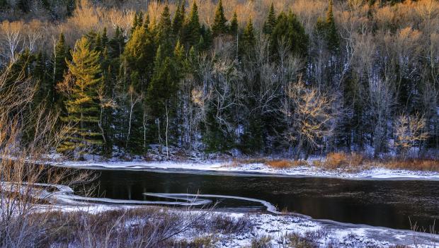 Schodack Island State Park