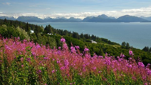 Kachemak Bay State Park