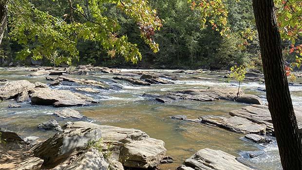 Sweetwater Creek State Park