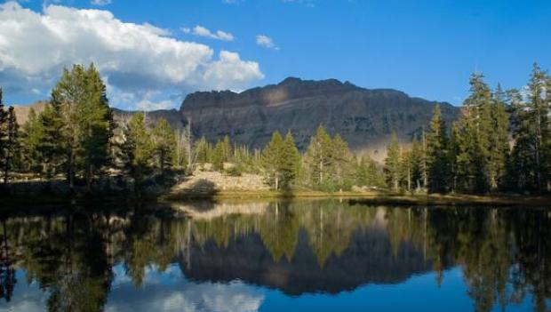 Scenic Camping Spots Across the Country