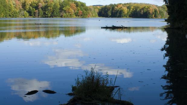 hills creek state park