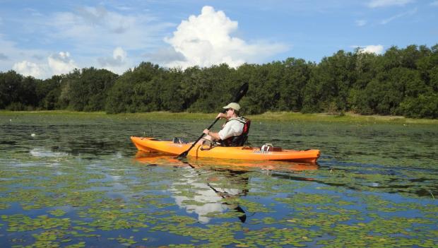 Florida Forest Camping