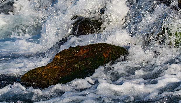 Giant Springs State Park