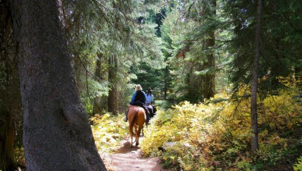 Horse Camping America