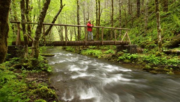 American forest campgrounds