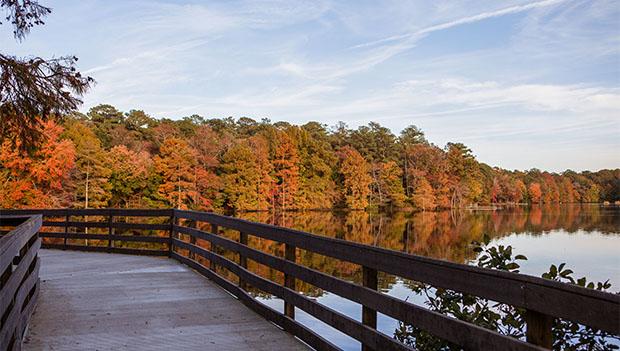 Trap Pond State Park