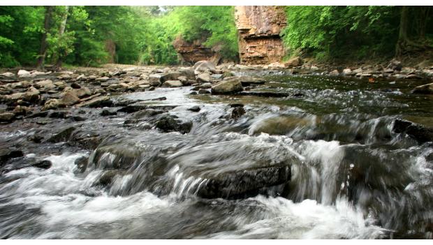 Kankakee River State Park Illinois Road Trip