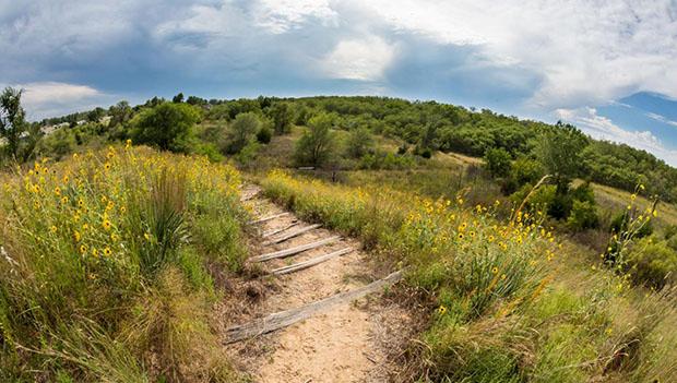 Sand Hills State Park