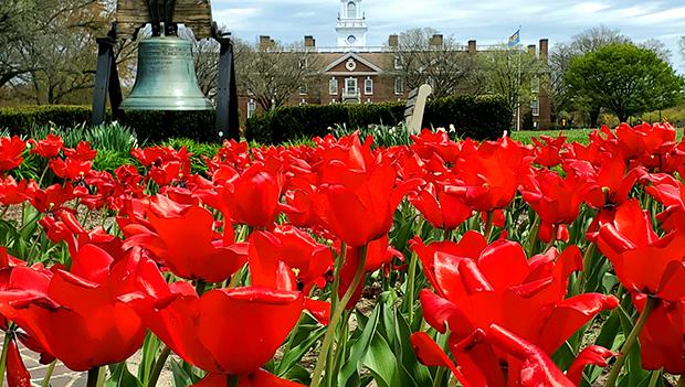 Scenic Spring Wildflower Locations