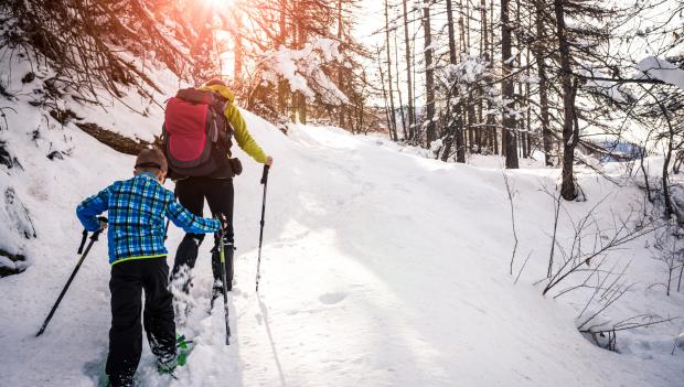 The Best Places to Snowshoe