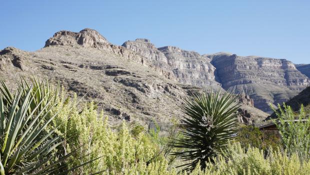 Oliver Lee Memorial State Park