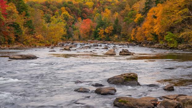 ohiopyle state park