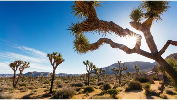 Best Desert Hikes in America