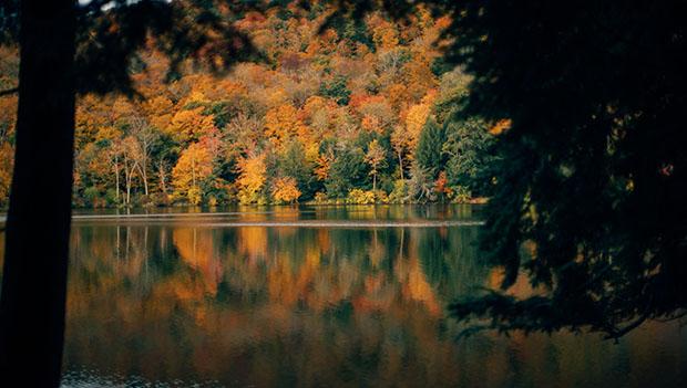 Little Pond Campground