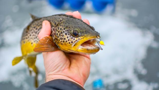 Ice fishing at Cooney State Park